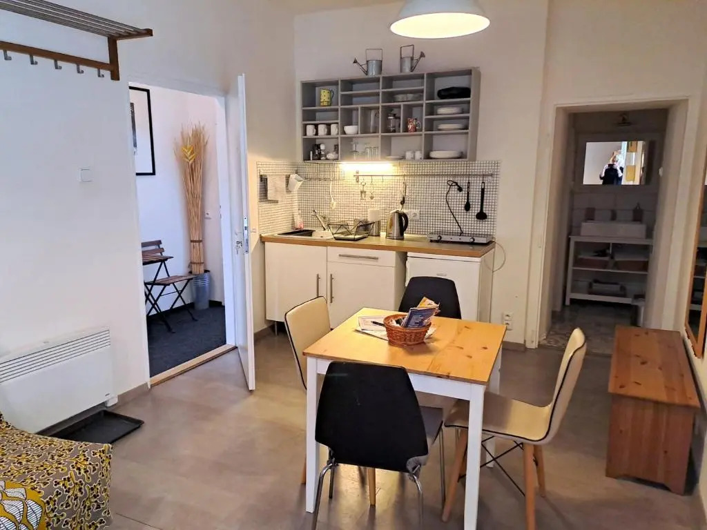 Magnificent apartment in the center of Prague