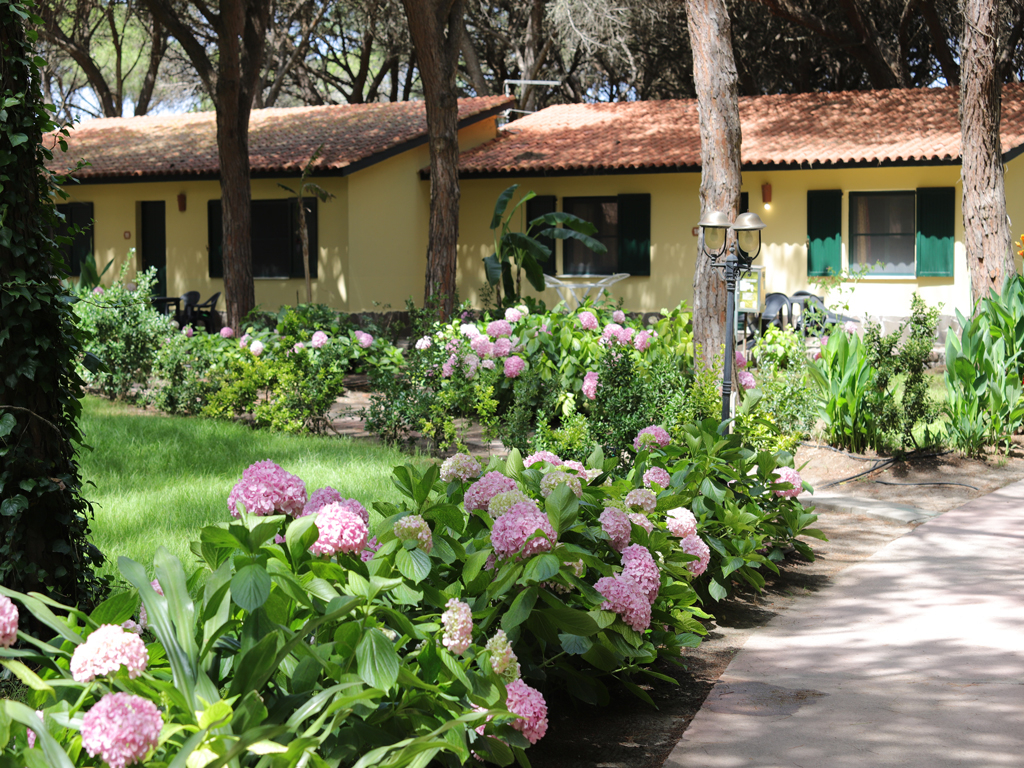 Horse Country Resort Congress & Spa - Hotel Medar