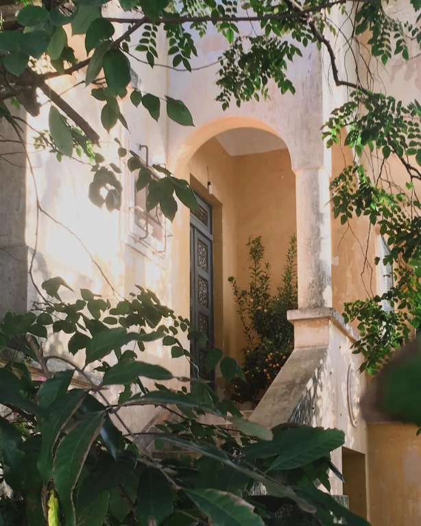 Monstera House