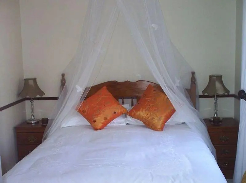 Avon Road Guest House & Tours