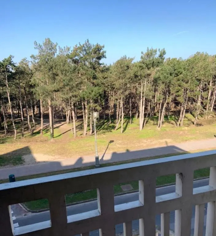 Luminous Apartment 2 minutes walk from beach 2 bedrooms 5pers