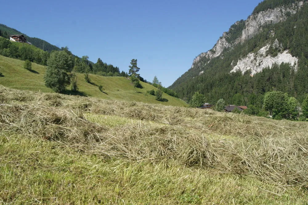 Zeffererhof