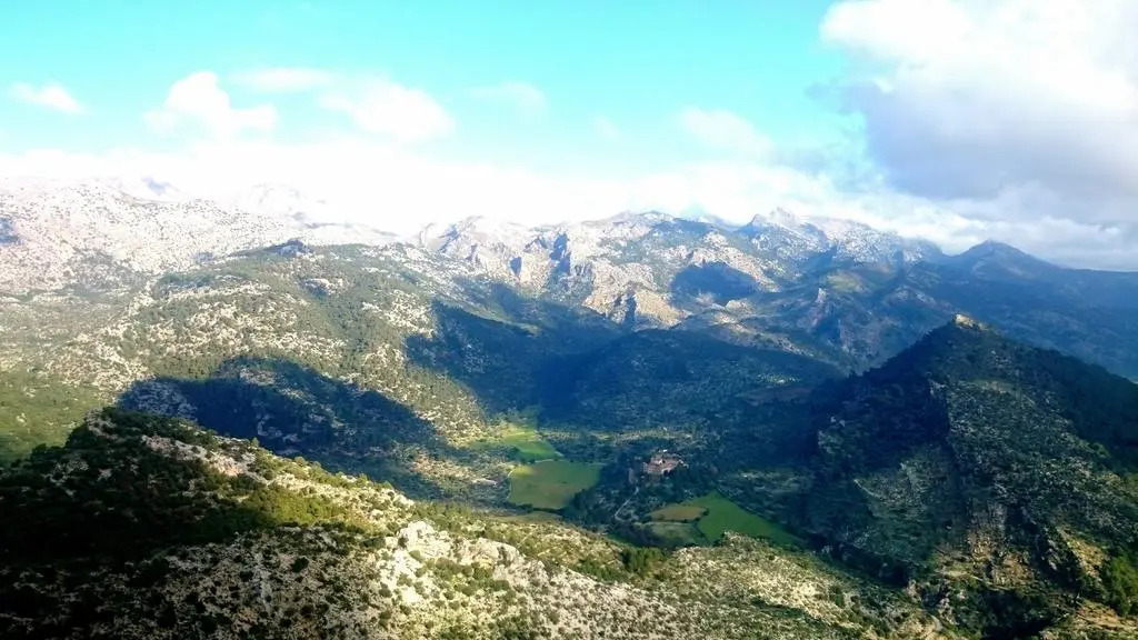 Seguí
