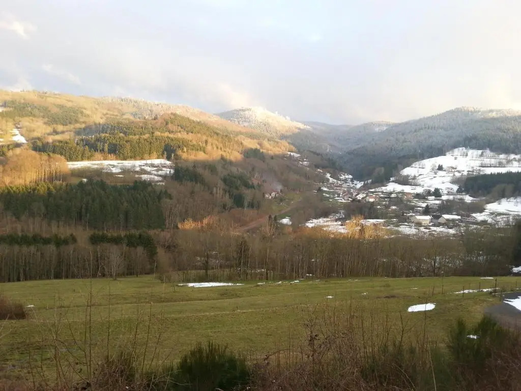Giteovosges