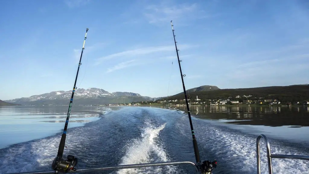 Hansnes Havfiske