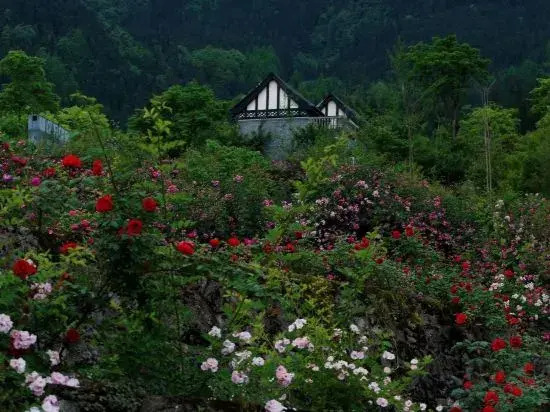 Youyang Meiju Homestay