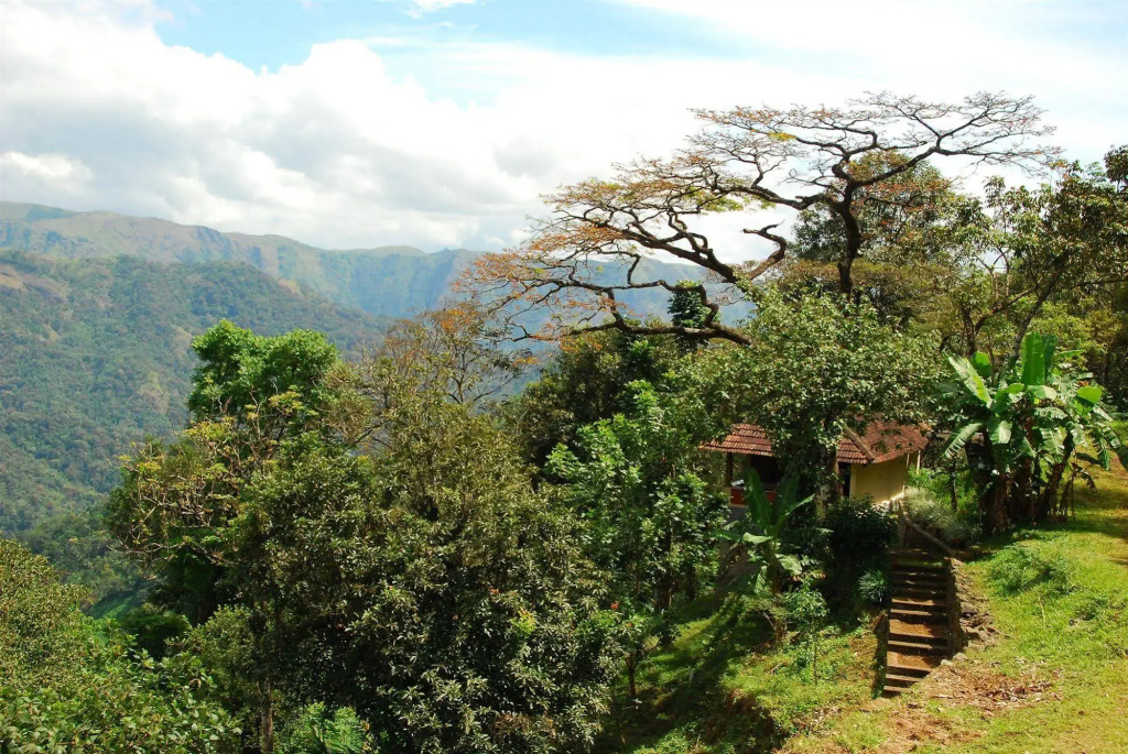 Paradisa Plantation Retreat