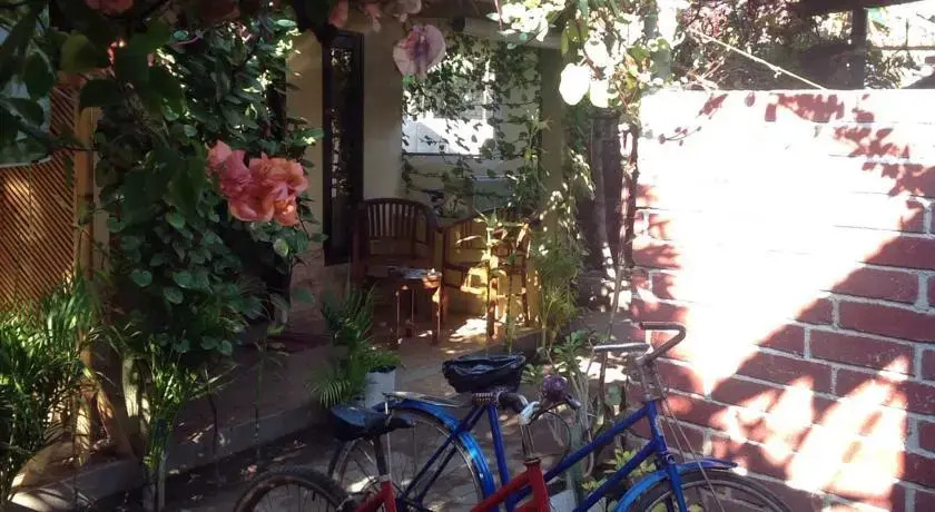 Three Little Birds Homestay