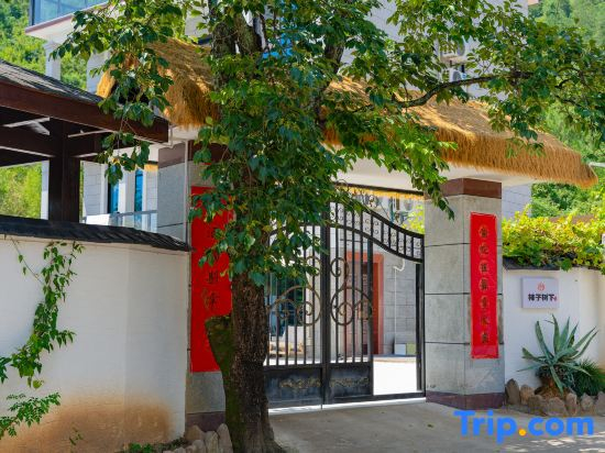 Under Persimmon Trees · Fam&Team Retreat·Pool·Pet Stay (Tonglu OMG Park Branch)