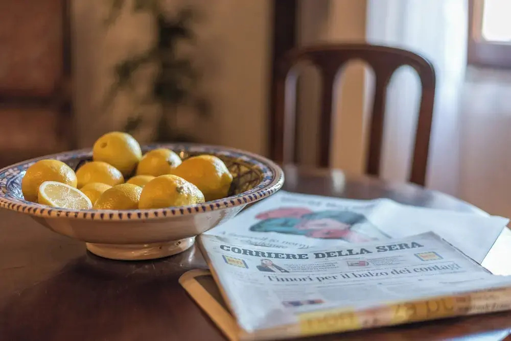 Lemon Tree Boutique Guest House