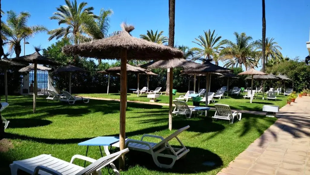 Skol 913A by Completely Marbella