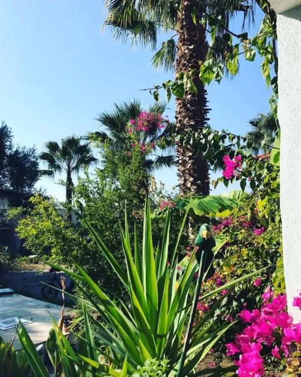 Urla Bella