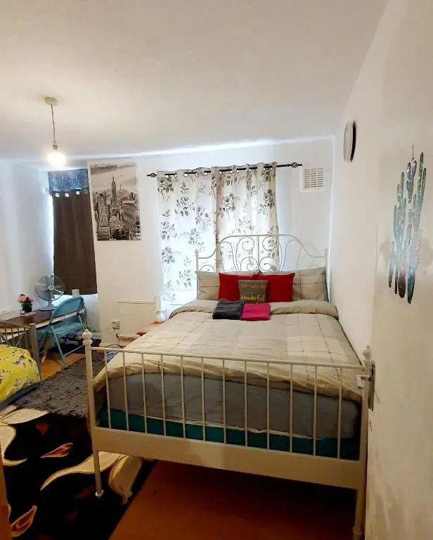 Comfortable Host, in zone 2-3
