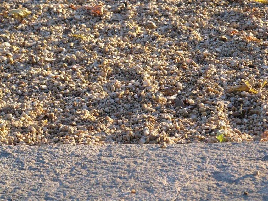 Vigna Il Merlo