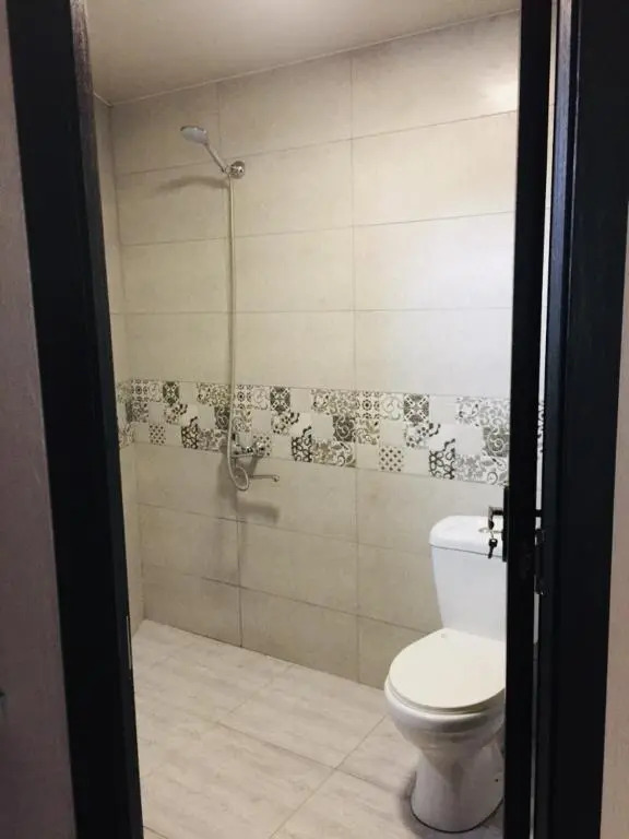 Arshaura Apartment near Kazbegi