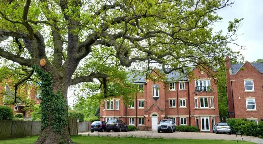 8 Longbourn