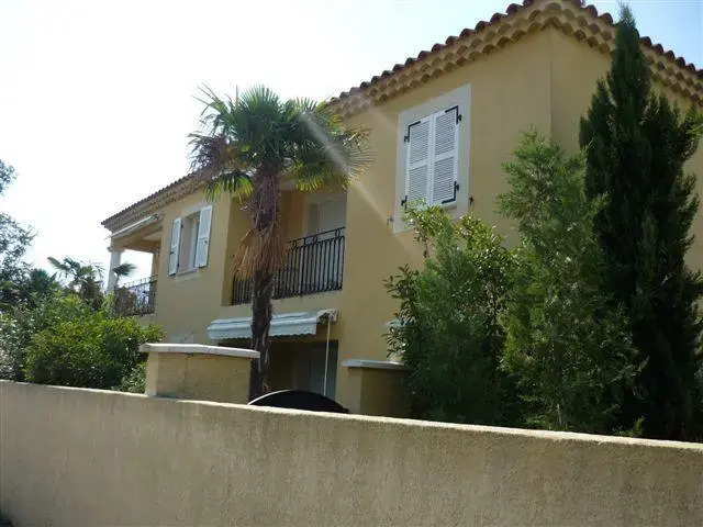 Oasis