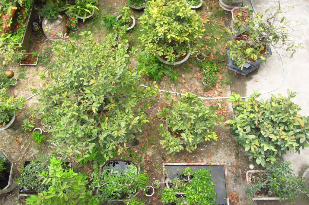 Charming Homestay