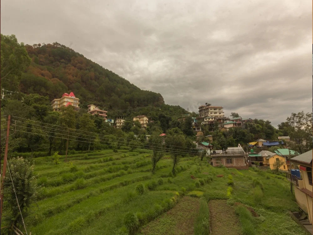 OYO 16686 Home Exotic 1 BHK Paragliding View Darnoo