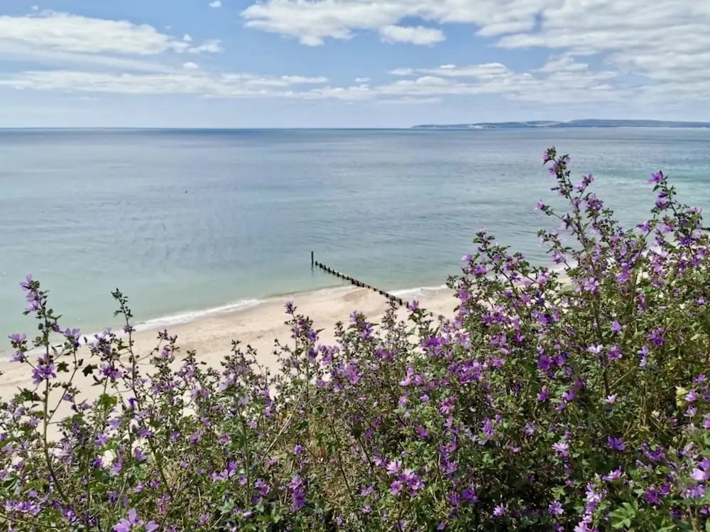 Fabulous,3 bedrooms, garden, hot tub, sleeps 8.