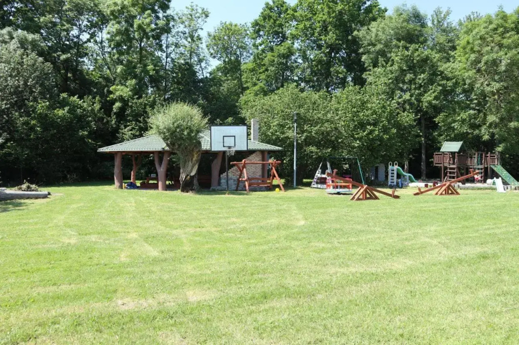 Koło Żółwia
