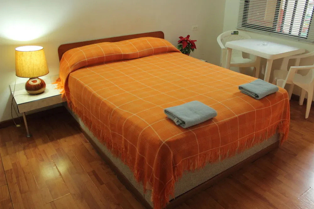 Hotel Sartor