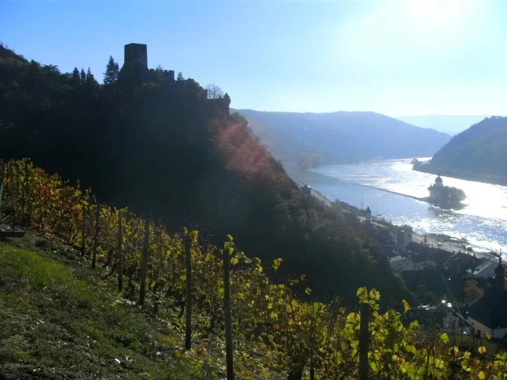Weingut Am Löwenkopf