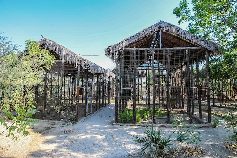 KIMONY RESORT