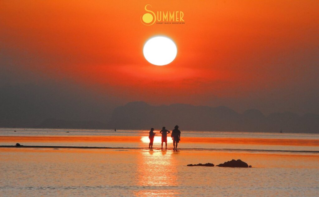 Summer Luxury Beach Resort & Spa