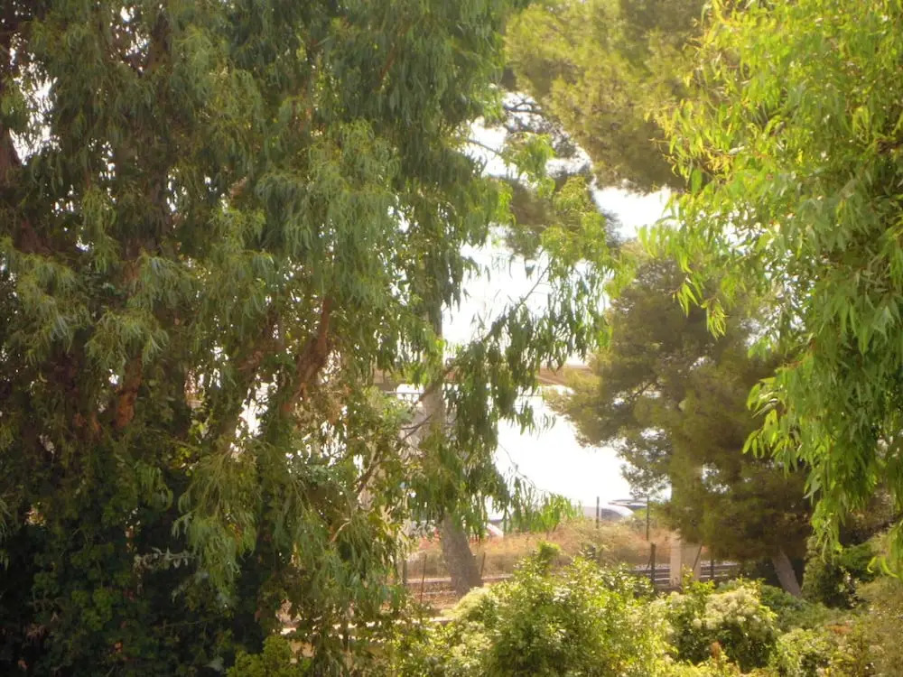 Apartment With 2 Bedrooms in Cannes, With Wonderful sea View, Furnishe