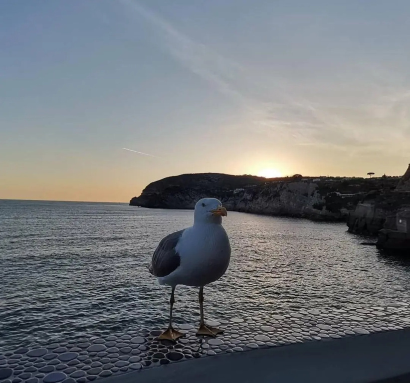 BeachFront House - Sant'Angelo Ischia