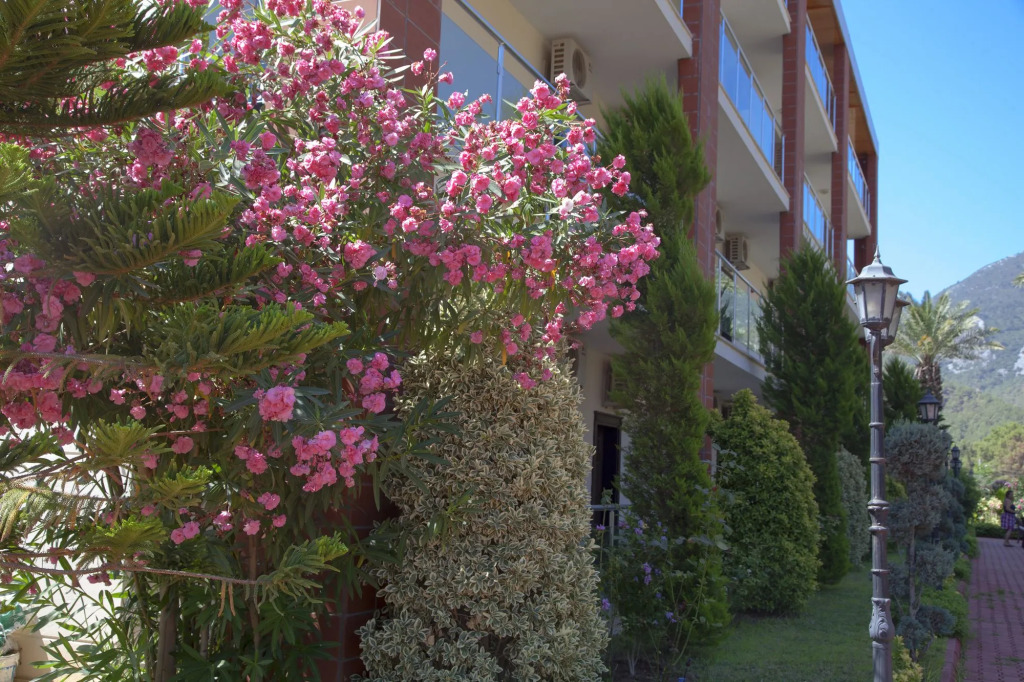 Palmira Hotel