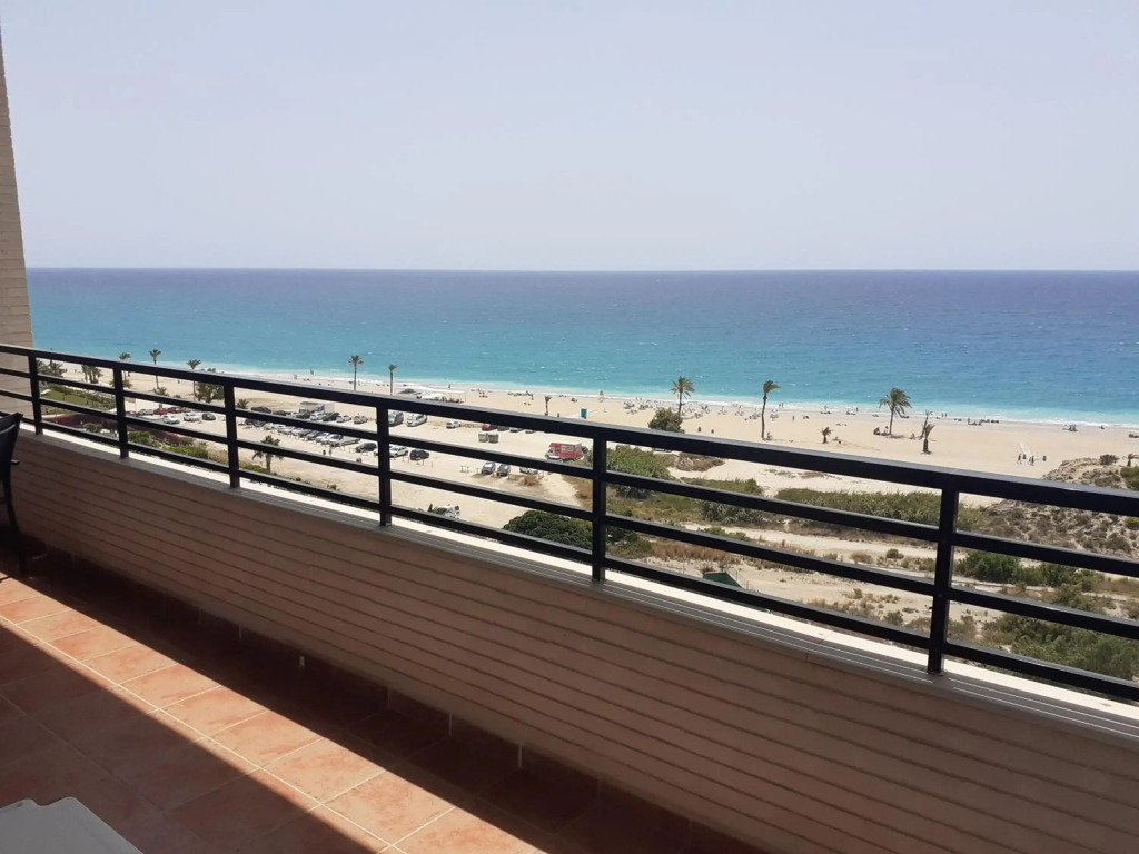 Partida Paraiso 4-8e