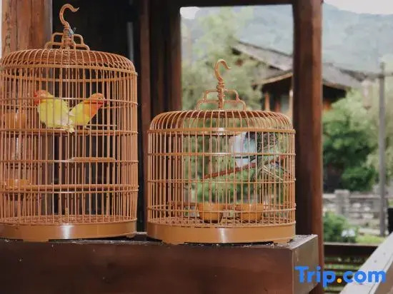 Fanjing Mountain Moyunjian (Yunshe Shenlongtan store)