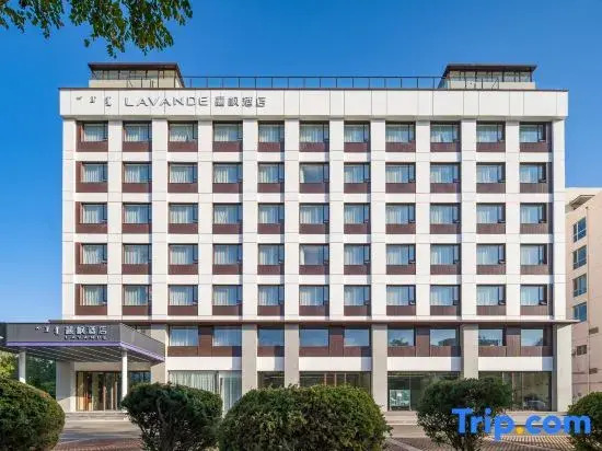 Lavande Hotel (Ordos Wanda Plaza Store)