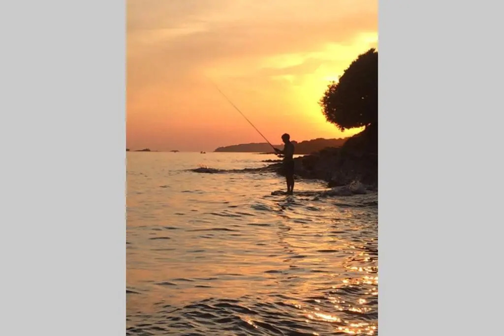 ViVa 2 Rovinj