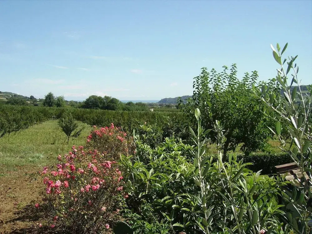 Agriturismo Vecchio Gelso
