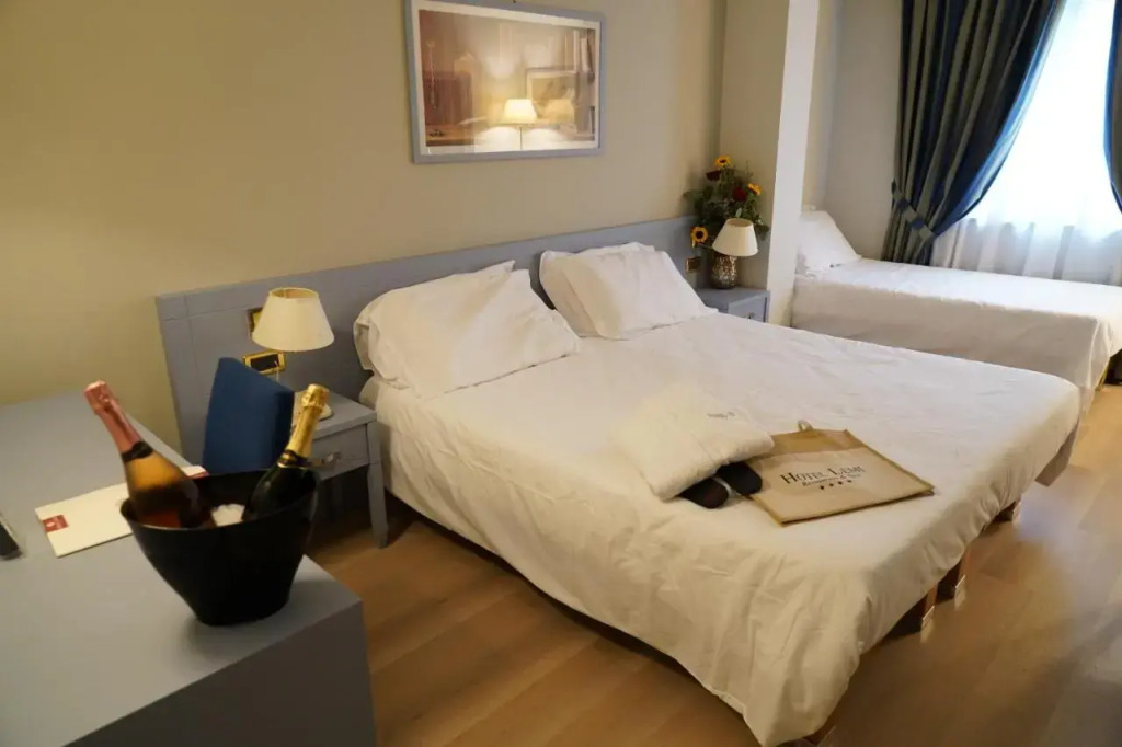 Hotel Lemi