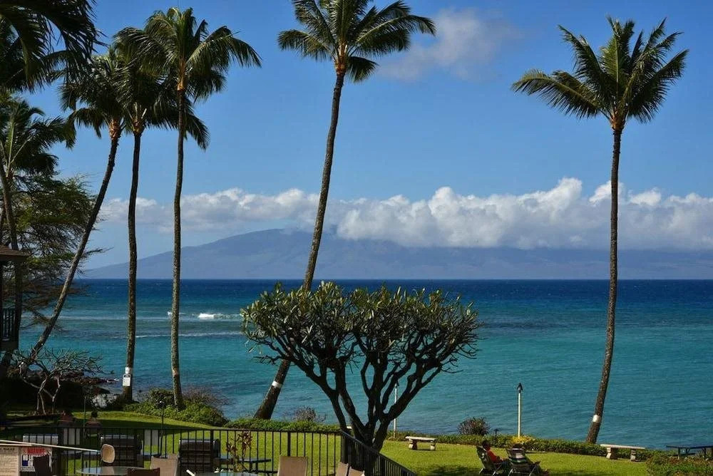 Polynesian Shores