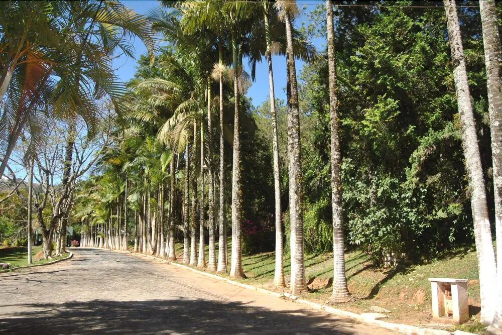Hotel Fazenda Flamingos