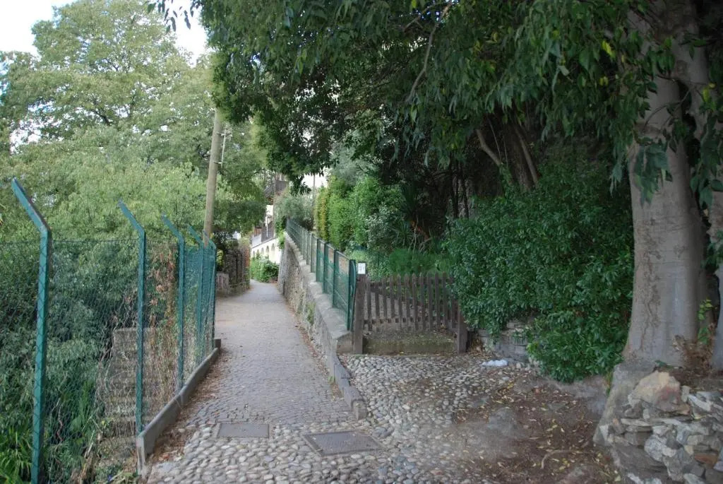 Fürstenstein