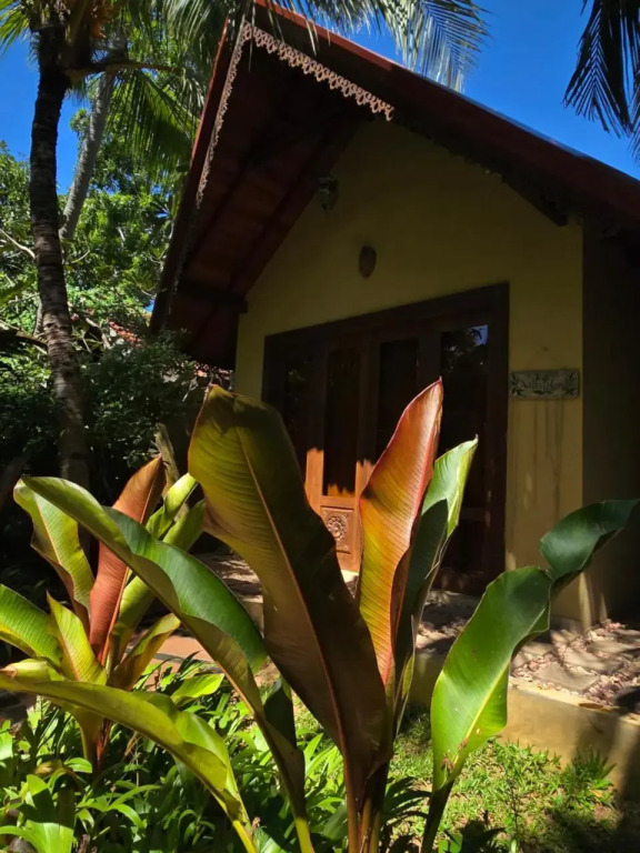 SURF N SUN - Arugam Bay