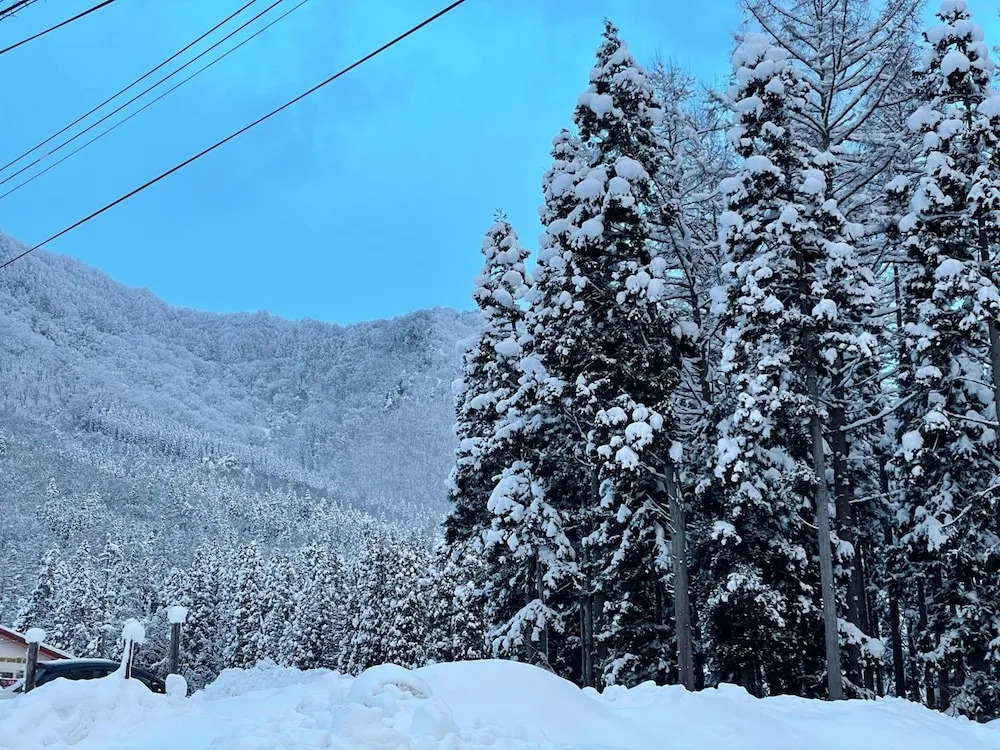 Hakuba Sun Valley Hotel