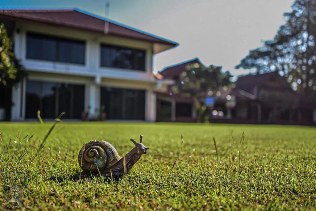 Serenity1 Homestay