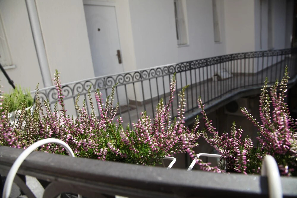 Al Mattina Apartments Belgrade