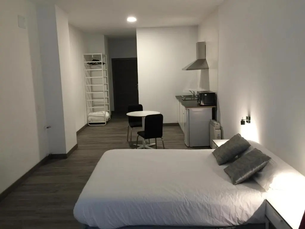 Room and Kitchen Bilbao