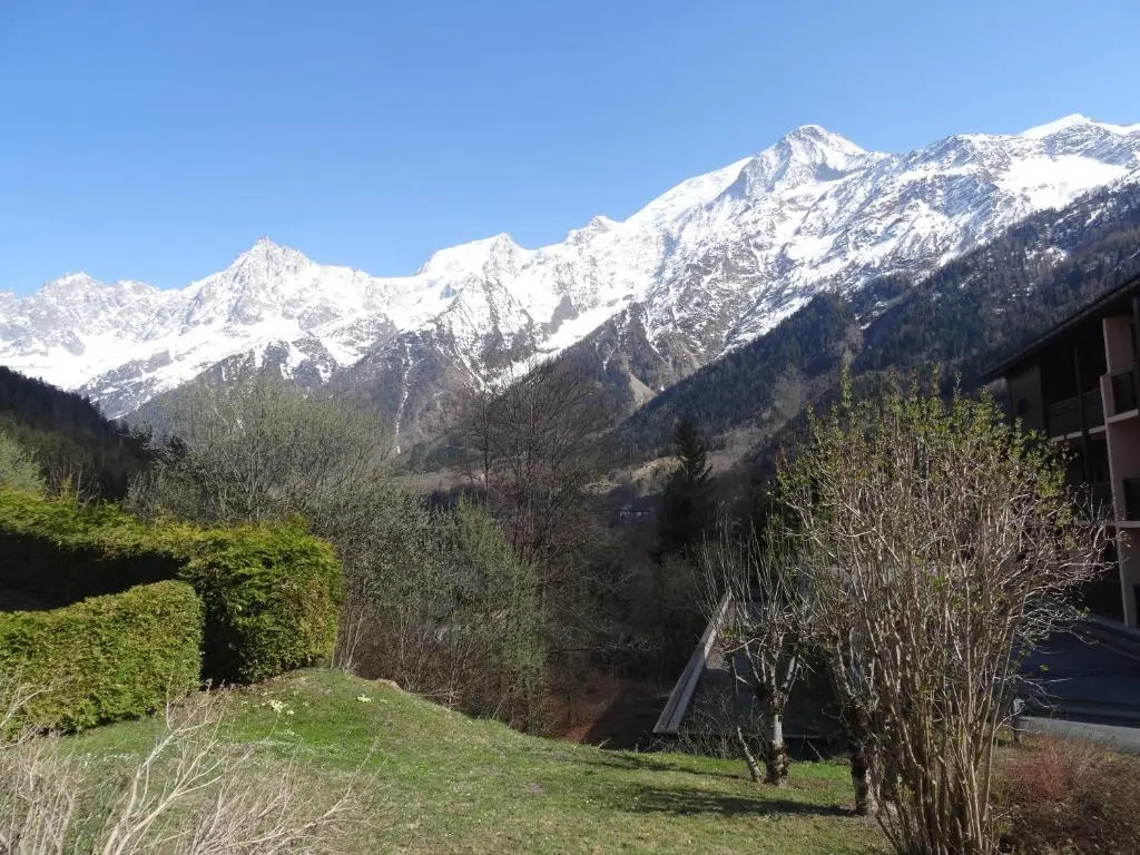 Studio Plein Sud. Vallée de Chamonix. Pieds de Pistes.