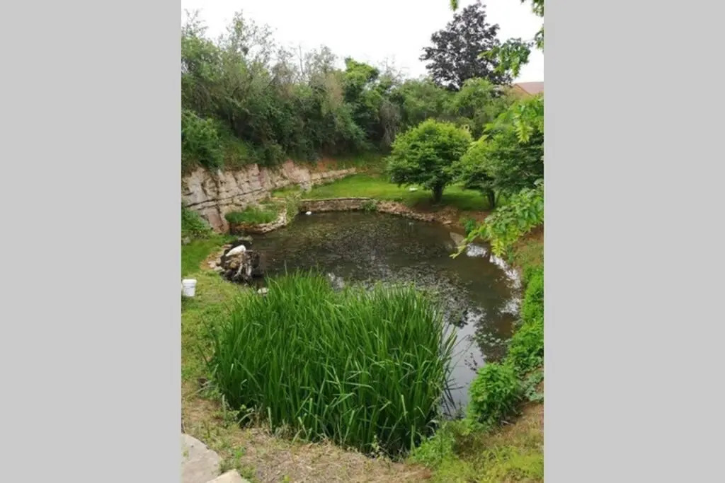 Studio Au Bord de L'etang