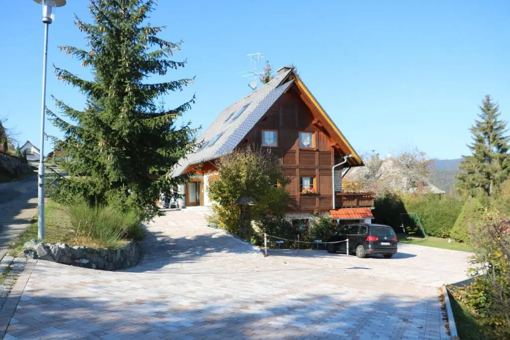 Ferienwohnung Seeblick Nr 3, 2 Zi-Bärental, Feldberg