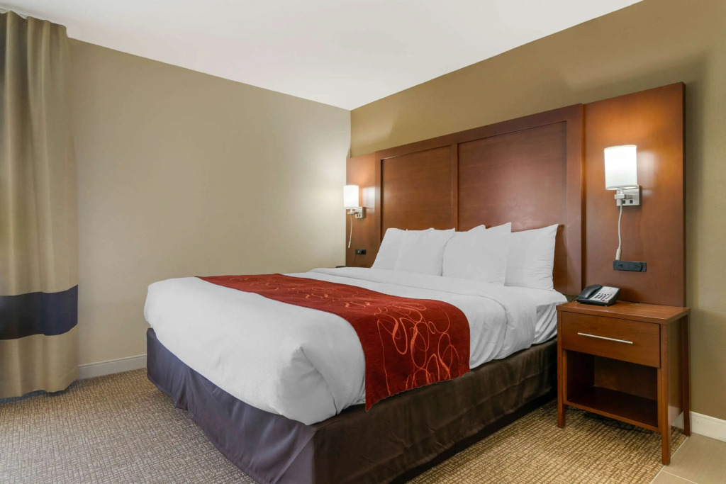 Comfort Inn & Suites Macon West
